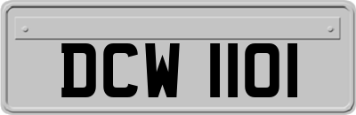DCW1101
