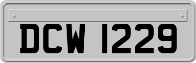 DCW1229