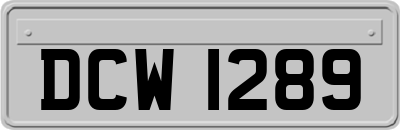 DCW1289