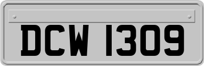 DCW1309