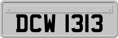 DCW1313