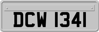 DCW1341