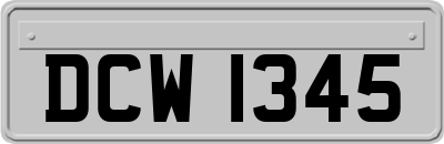 DCW1345