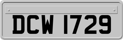 DCW1729
