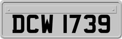 DCW1739