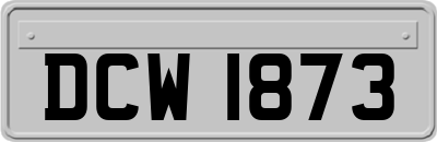 DCW1873