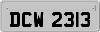 DCW2313