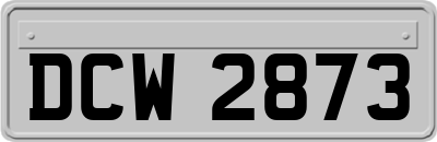 DCW2873