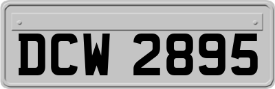 DCW2895