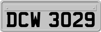 DCW3029