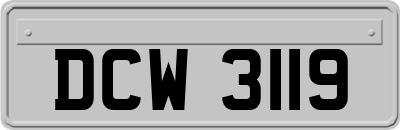 DCW3119