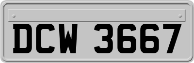 DCW3667
