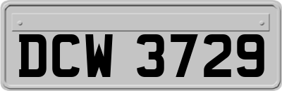 DCW3729