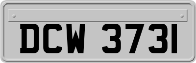 DCW3731