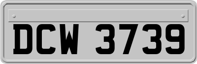 DCW3739