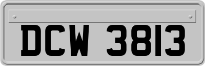 DCW3813
