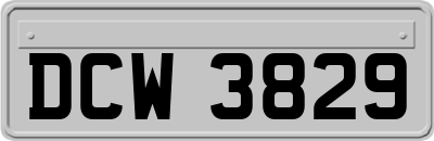 DCW3829