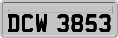 DCW3853