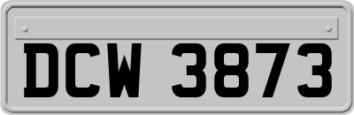 DCW3873