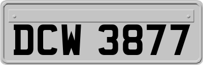 DCW3877