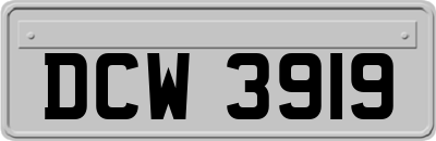 DCW3919