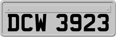 DCW3923