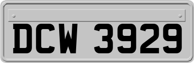 DCW3929
