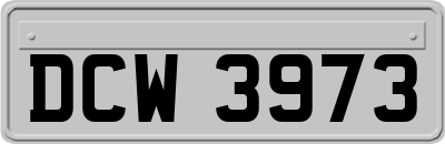 DCW3973