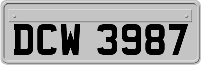 DCW3987