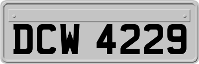 DCW4229