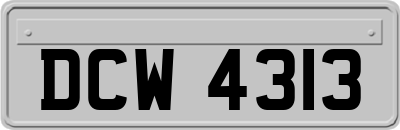 DCW4313