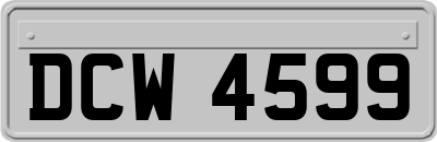 DCW4599
