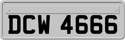 DCW4666