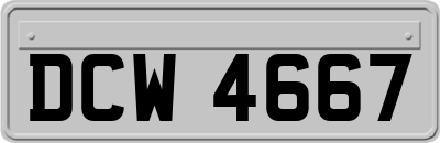 DCW4667