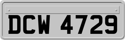 DCW4729