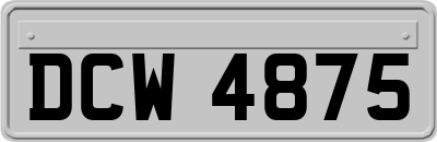 DCW4875