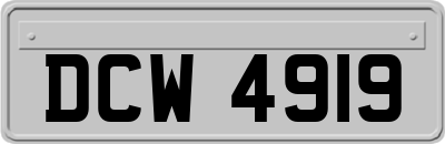 DCW4919