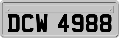 DCW4988