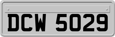 DCW5029