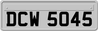 DCW5045