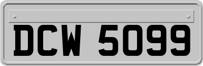 DCW5099