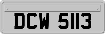DCW5113