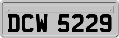 DCW5229