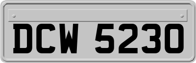 DCW5230