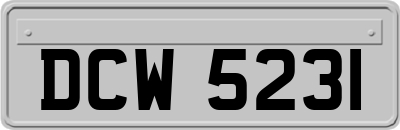 DCW5231