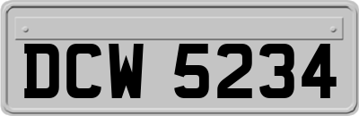DCW5234