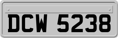 DCW5238