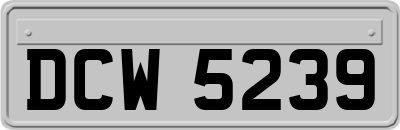 DCW5239
