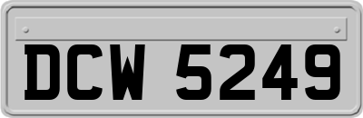 DCW5249