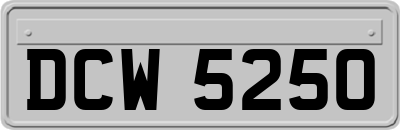 DCW5250